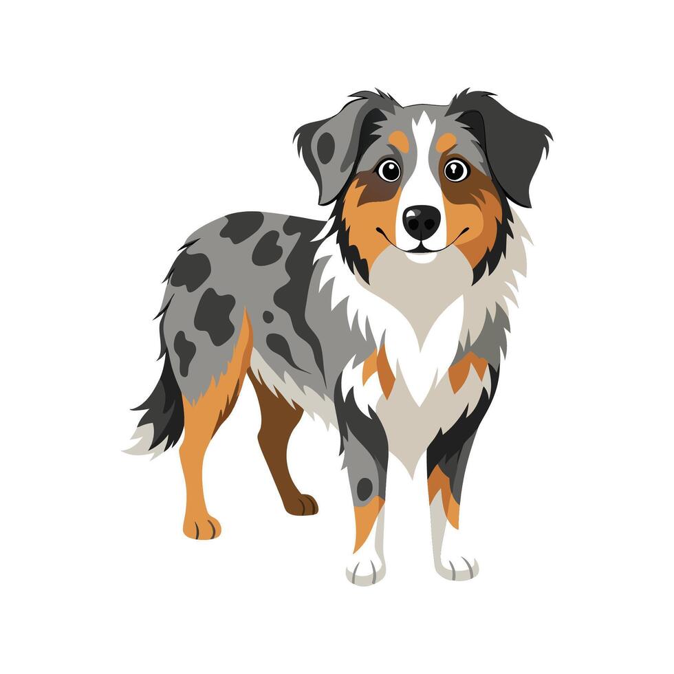 Unique Australian Shepherd Illustration for Creatives vector