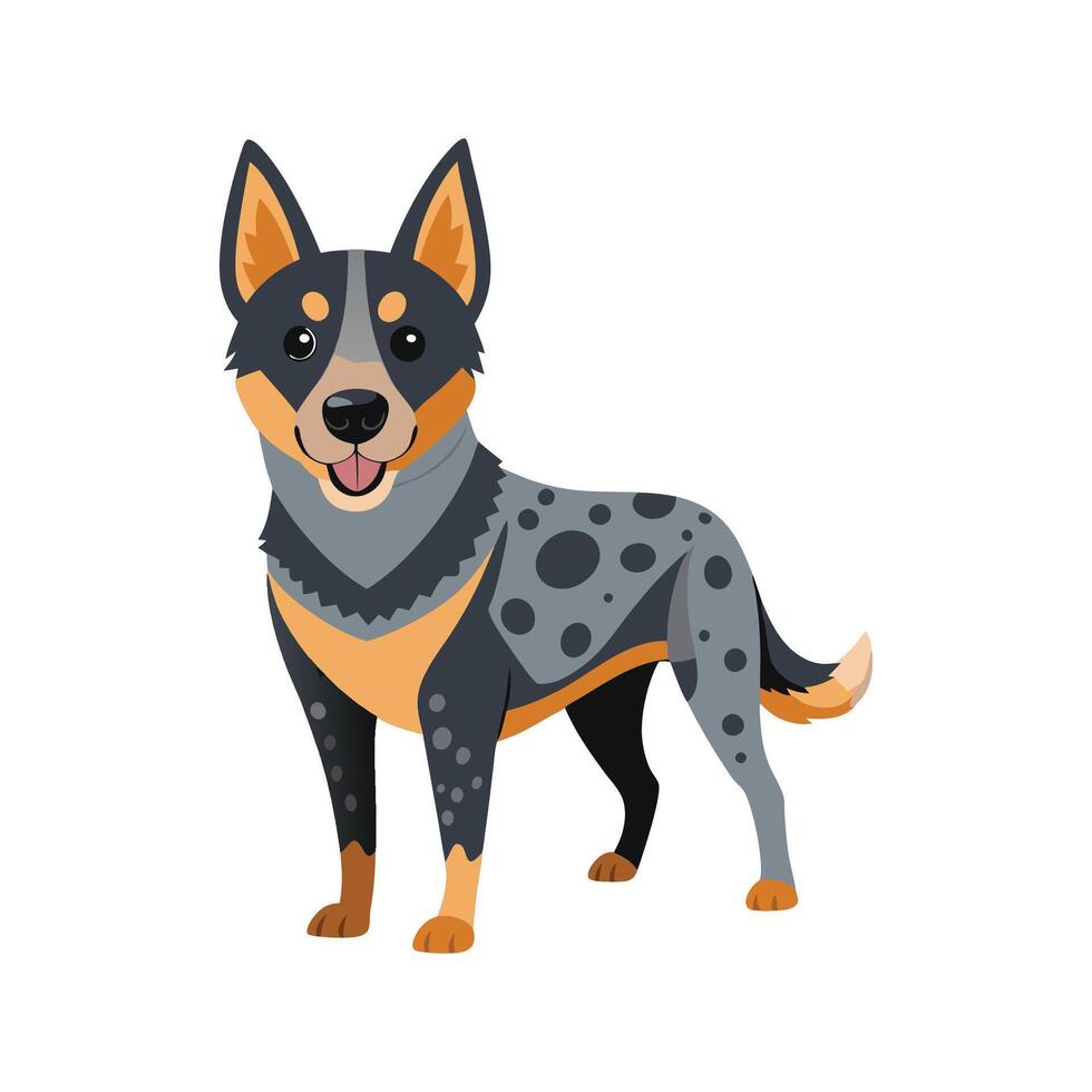 Stylish Australian Cattle Dog Illustration vector