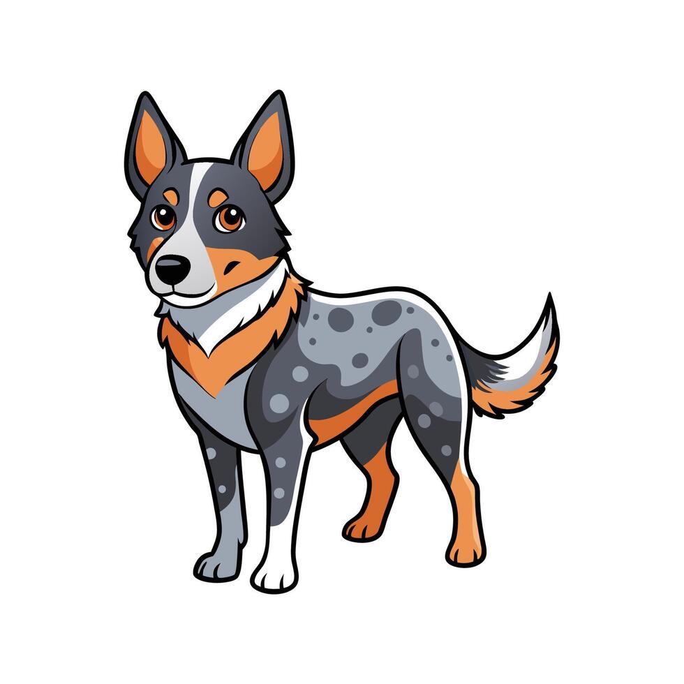 Unique Australian Cattle Dog Illustration vector