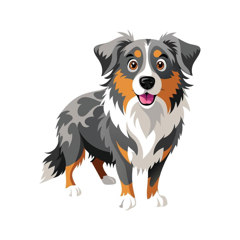 Stylish Australian Shepherd Illustration for Designers vector