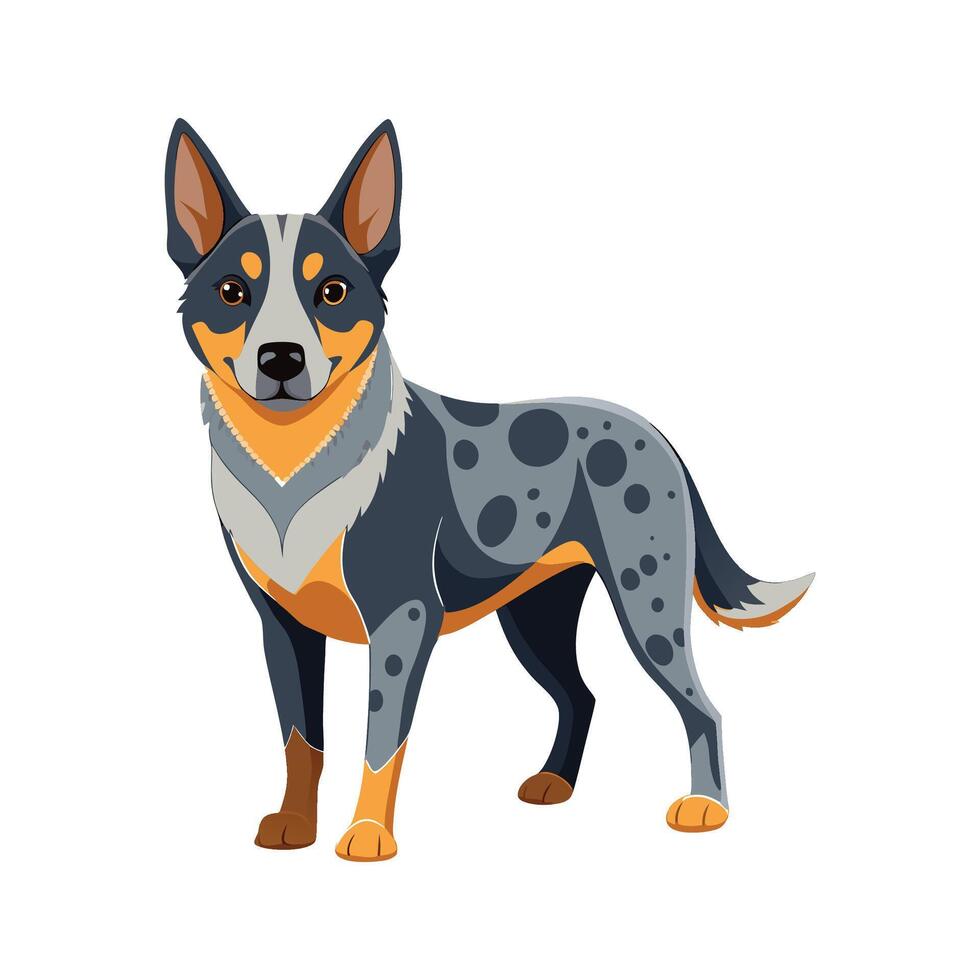 Distinct Australian Cattle Dog Illustration vector