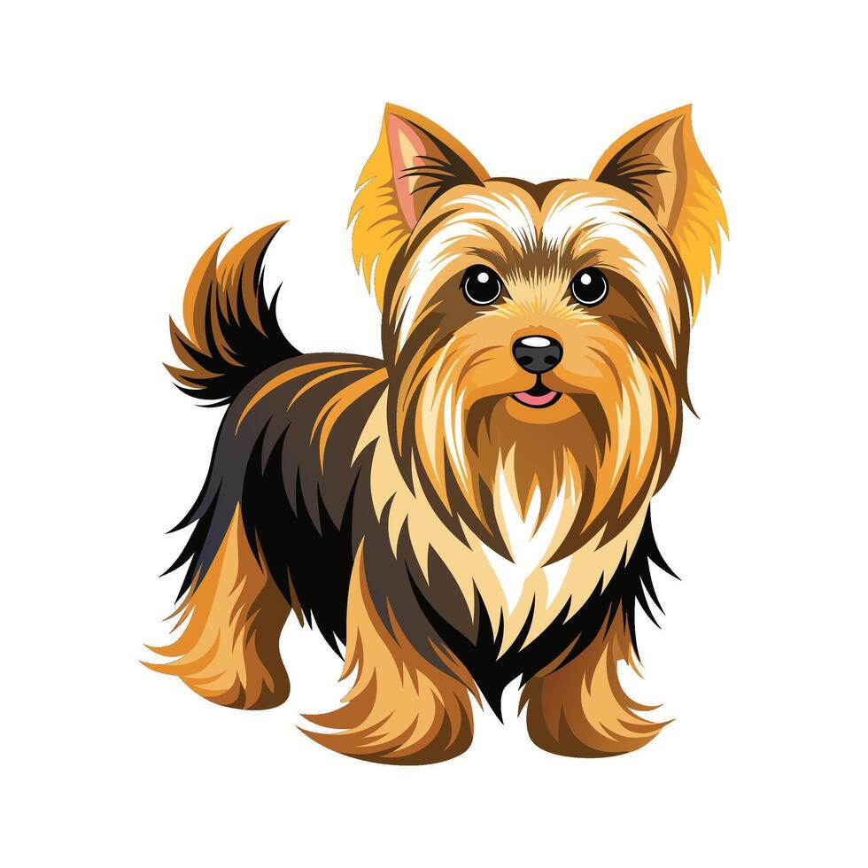 Unique Australian Silky Terrier Illustration vector