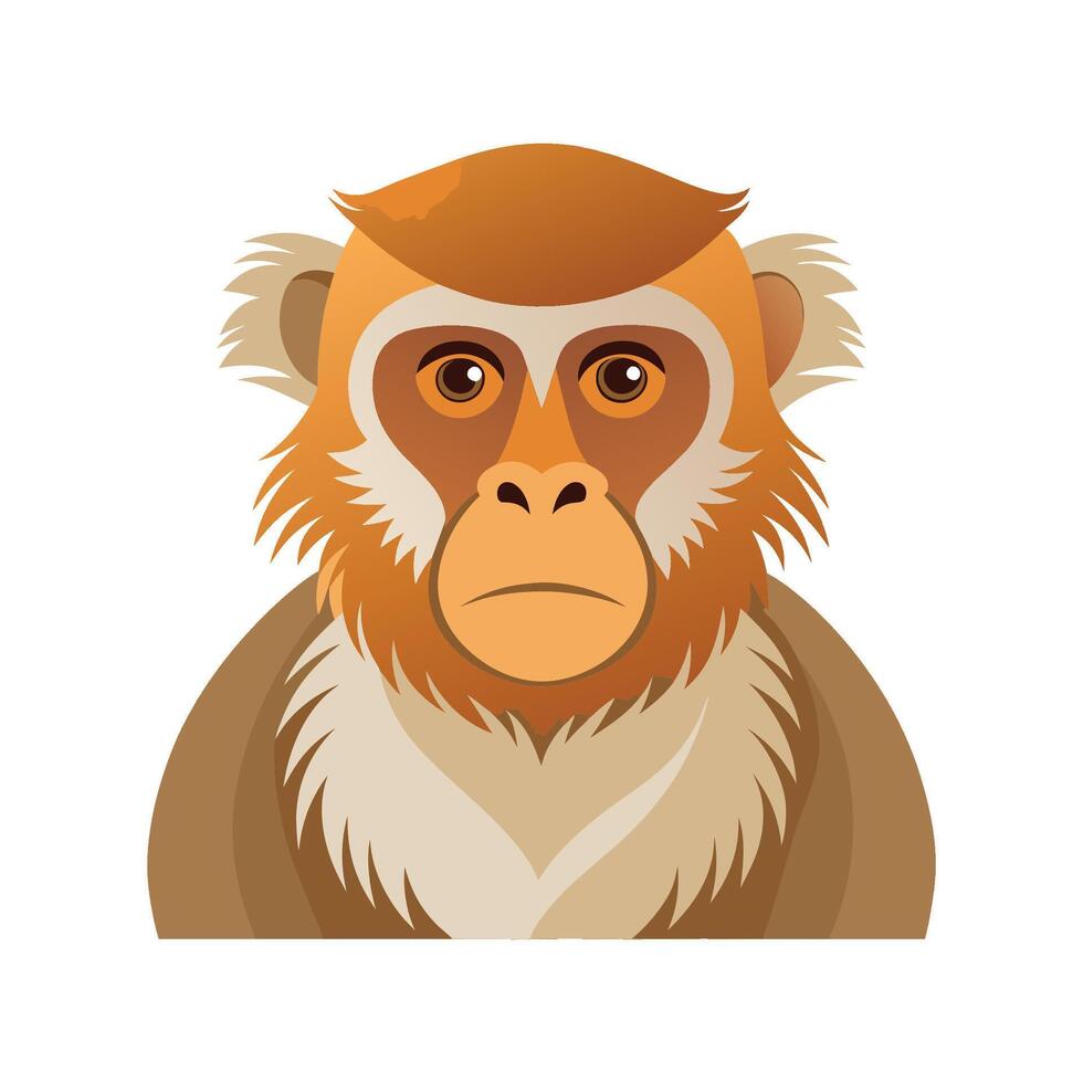Stylish Barbary Macaque for Art vector
