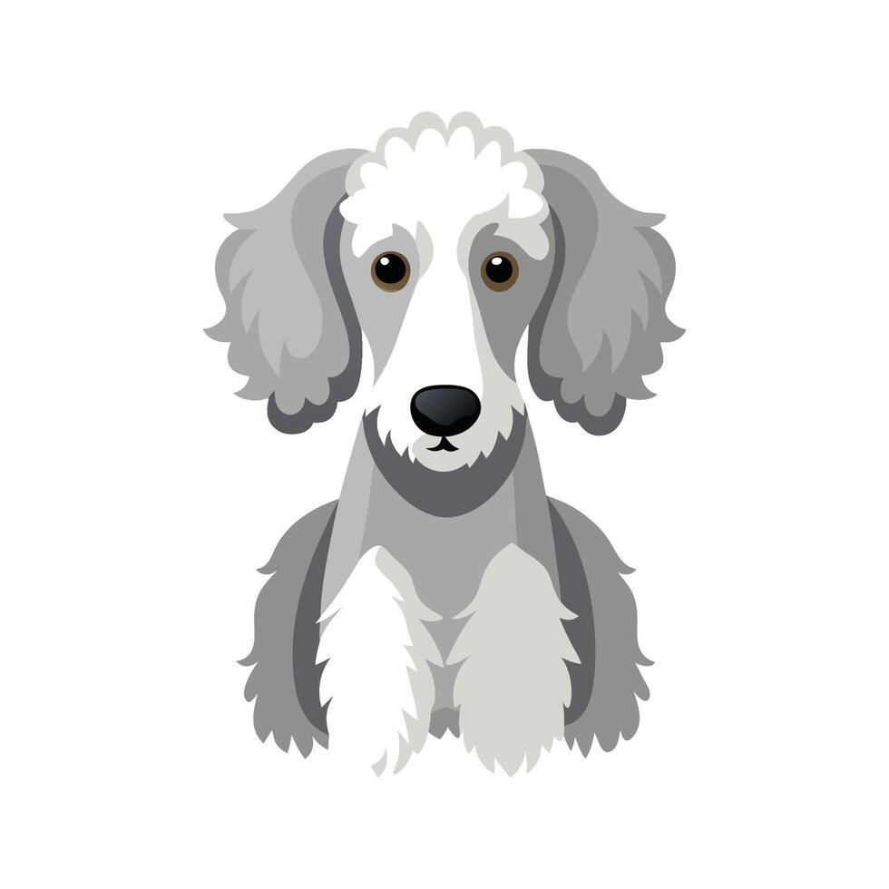 Creative Bedlington Terrier Design vector