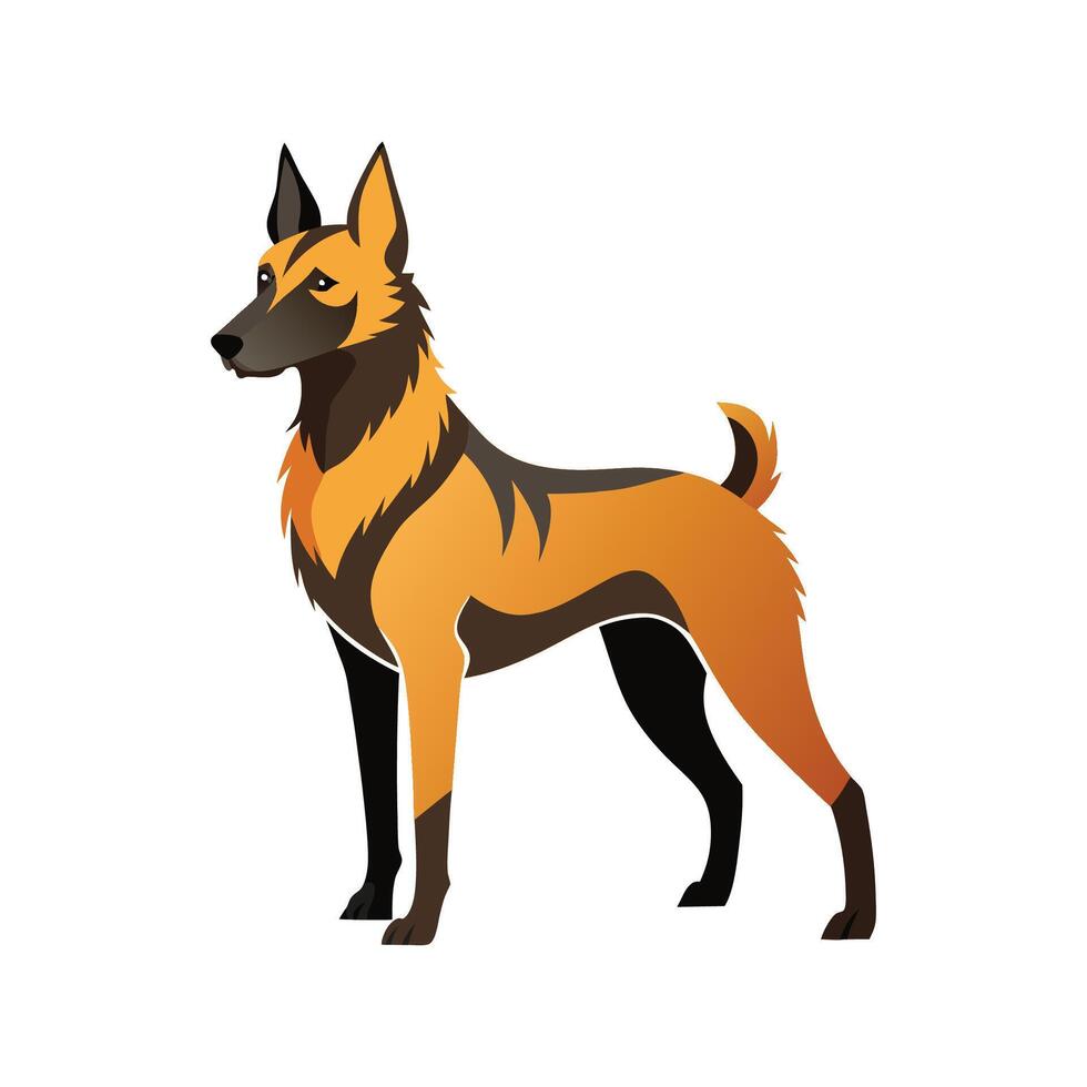 Charming Belgian Laekenois Illustration vector
