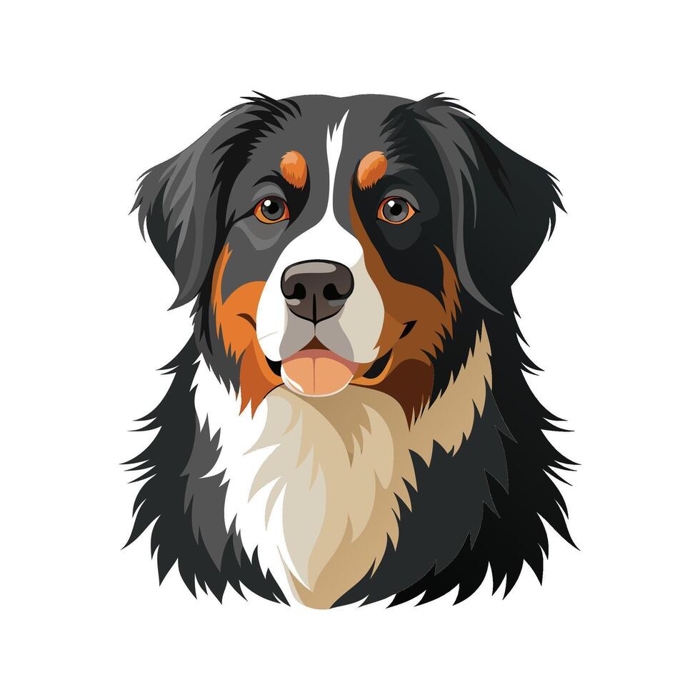 Stylish Bernese Mountain Dog Illustration vector
