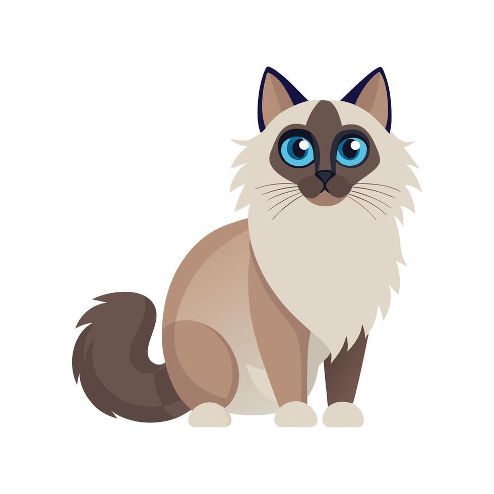 Charming Birman Cat Art for Creatives vector