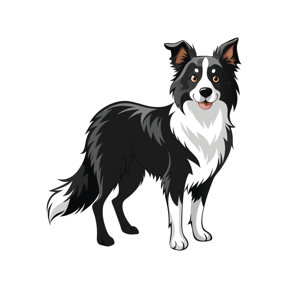 Charming Border Collie Art vector