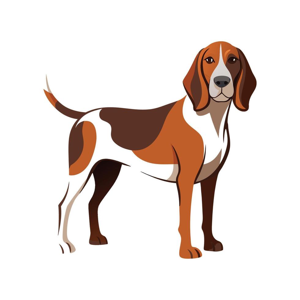Unique Bracco Italiano Design for Creatives vector