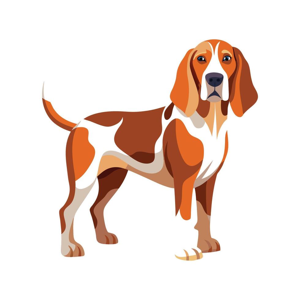 Charming Bracco Italiano Art vector