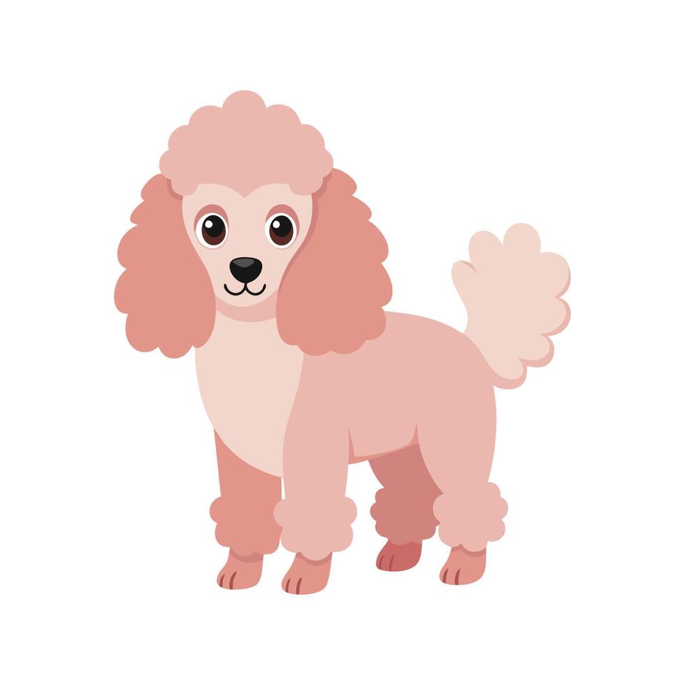 Elegant Caniche Breeding in Playful Mood vector