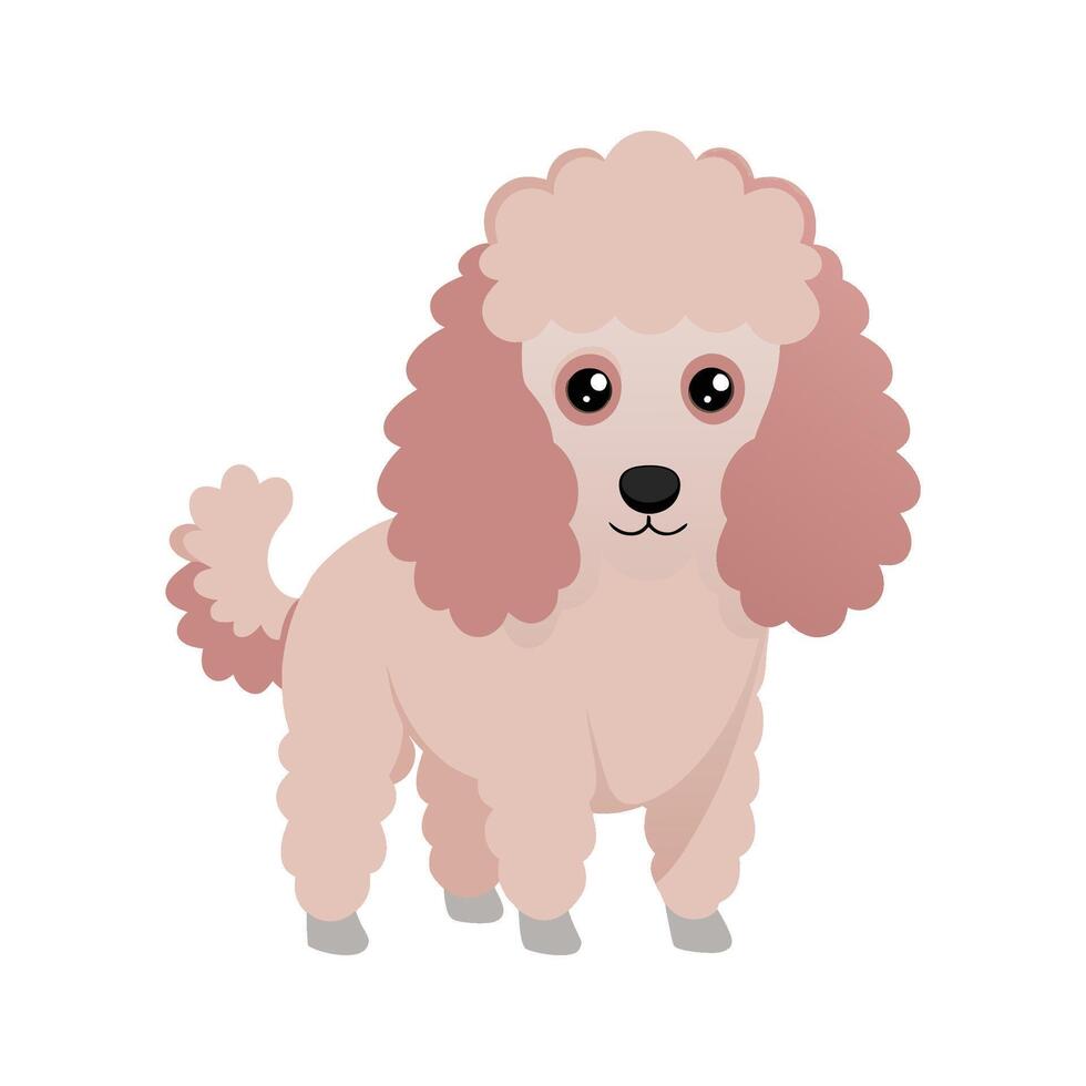 Dainty Caniche in Charming Posture vector