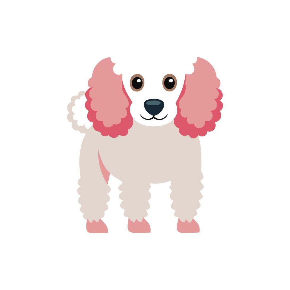 Caniche Dog Gazing at the Camera vector