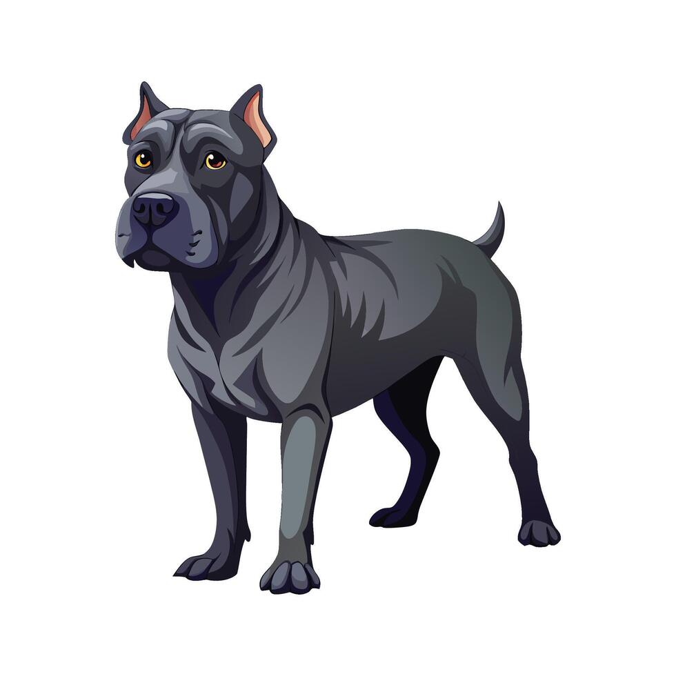 Majestic Cane Corso in Strong Stance vector