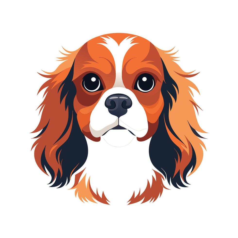 Cavalier King Charles Spaniel in Evening Light vector