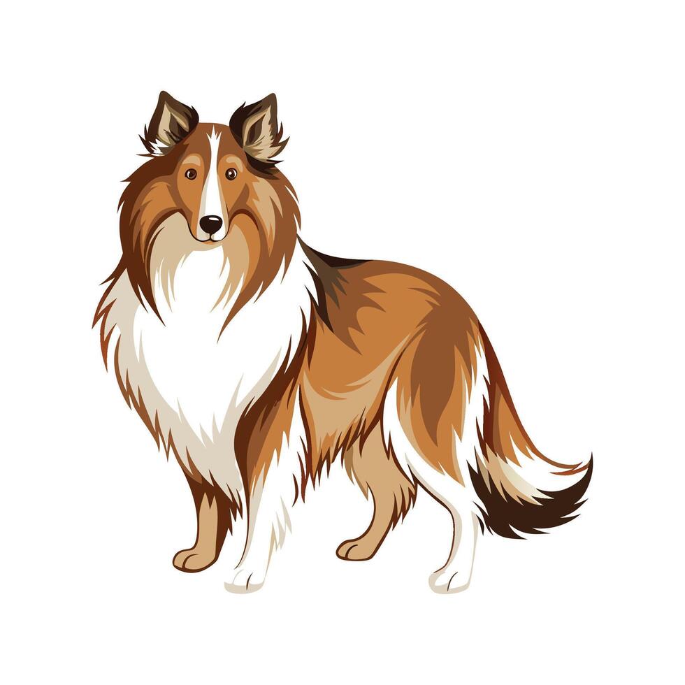 Elegant Collie in Peaceful Surroundings vector