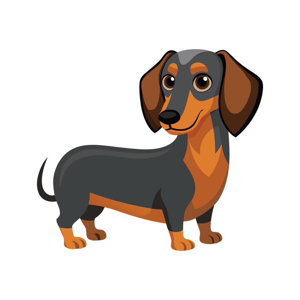 Cuddly Dachshund Relaxing on Couch vector