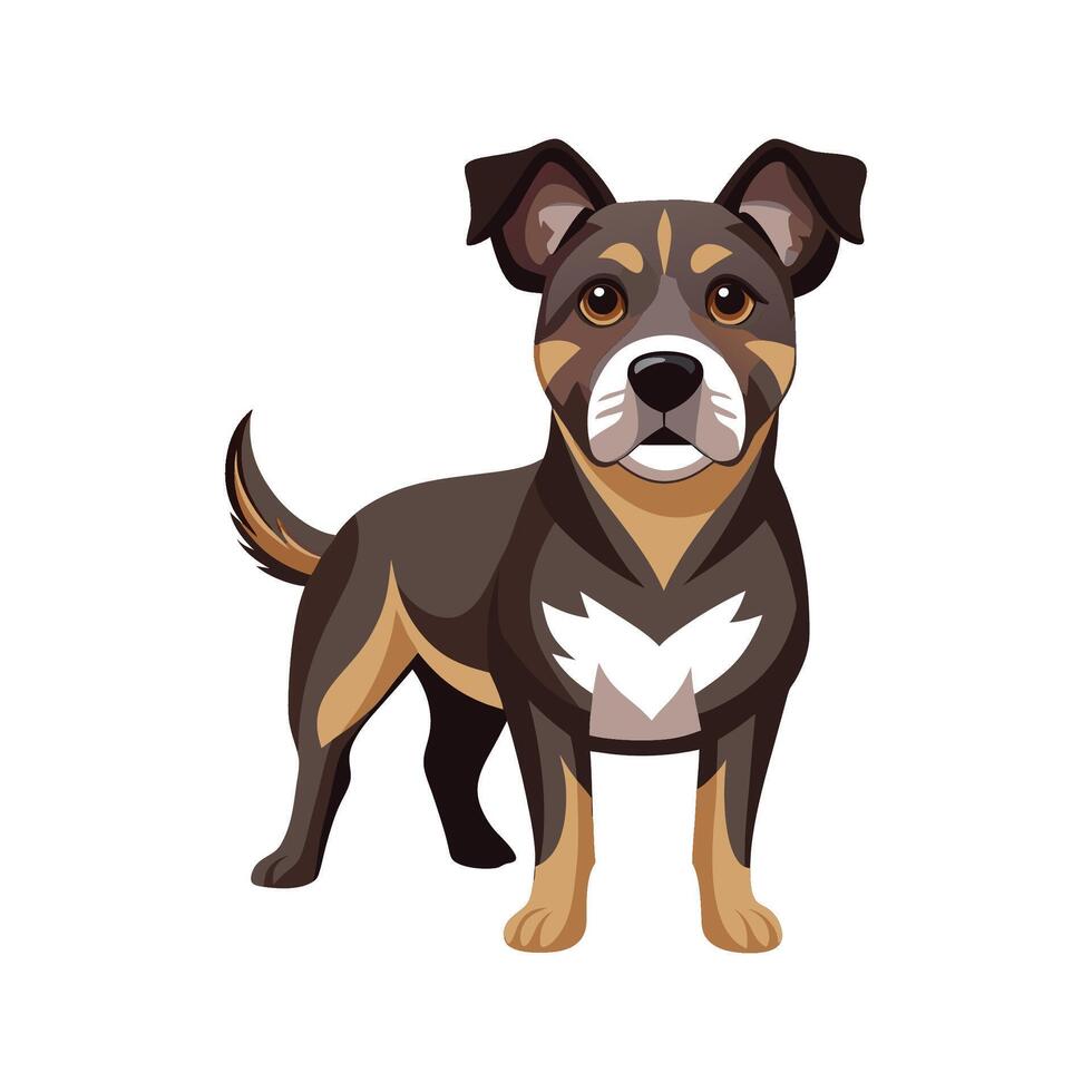 Energetic Domestic Dog in the Park vector