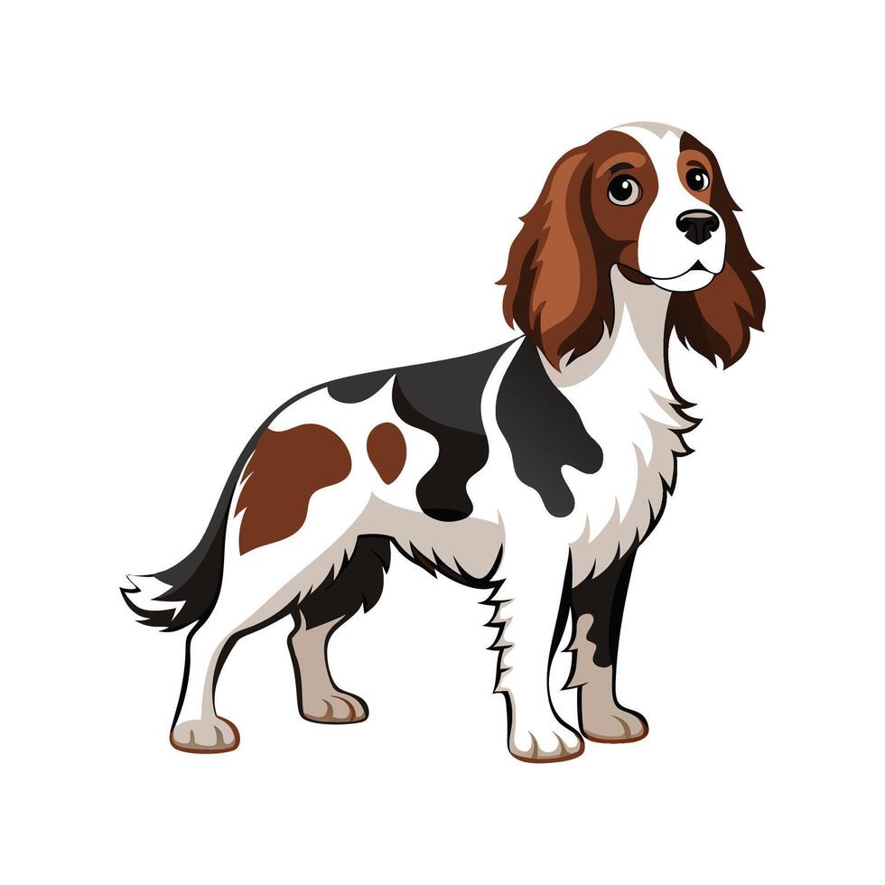 Charming English Springer Spaniel in Action vector
