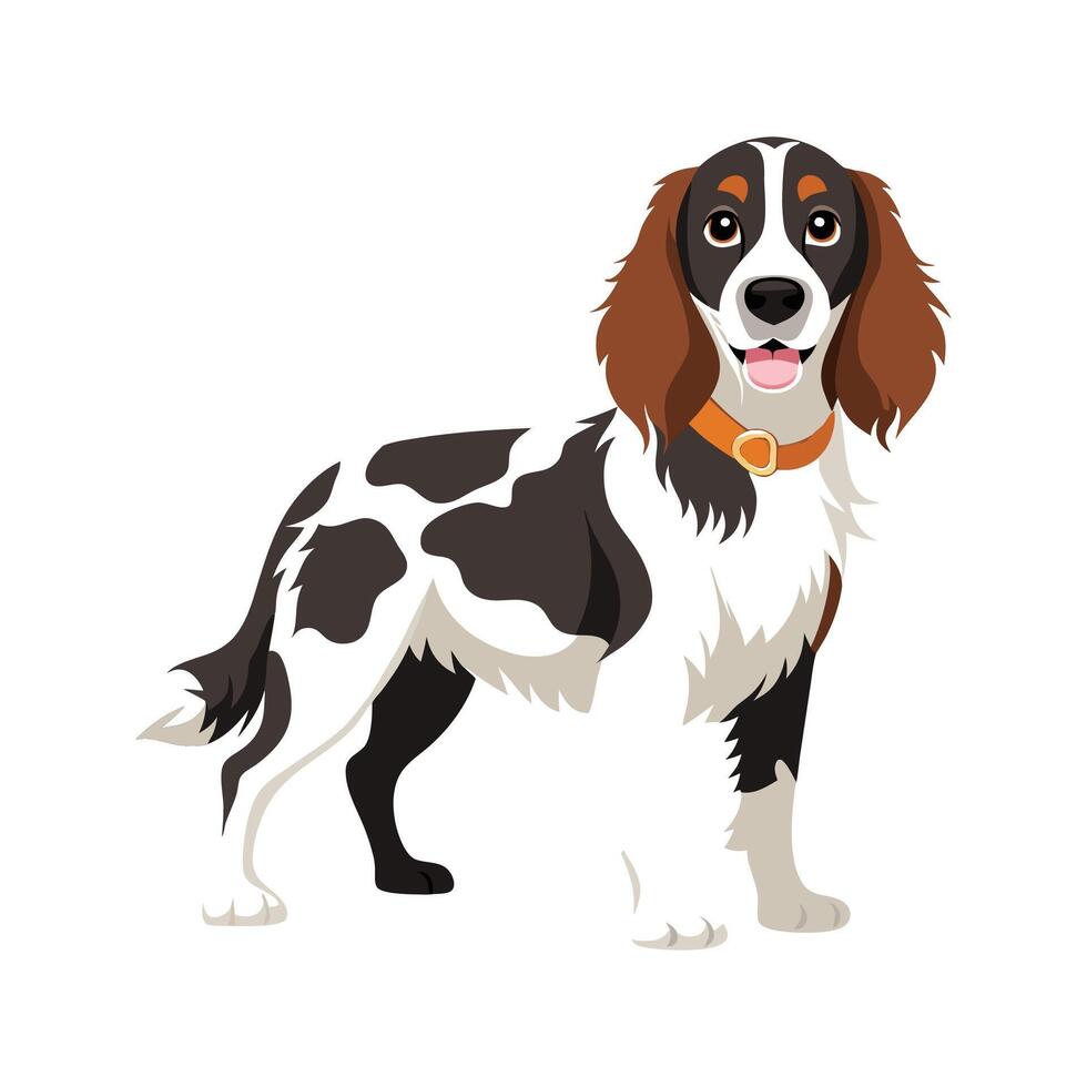 Dynamic English Springer Spaniel in Action vector