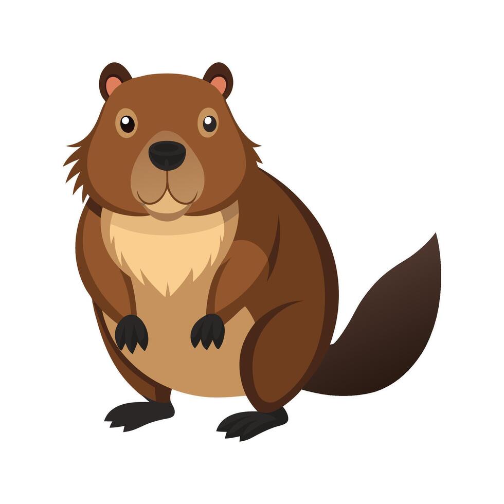 Busy European Beaver Building Dam vector