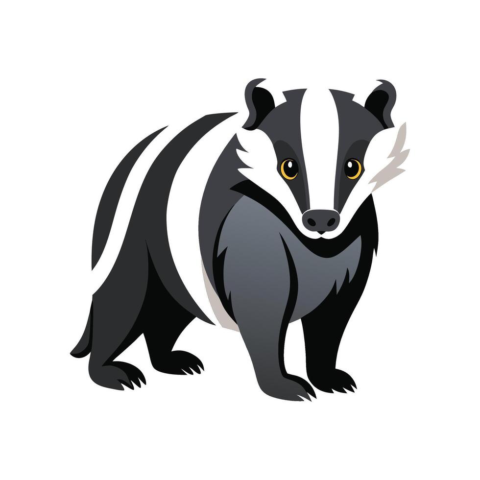 Majestic European Badger in Grassy Field vector