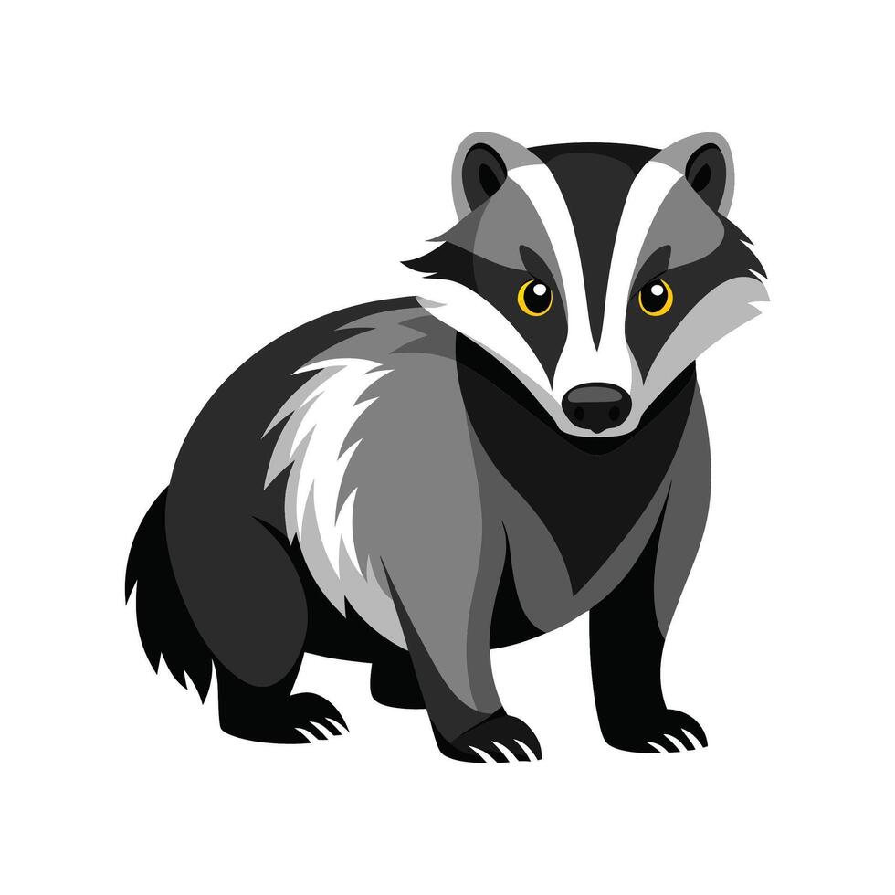 Unique European Badger in Natural Surroundings vector