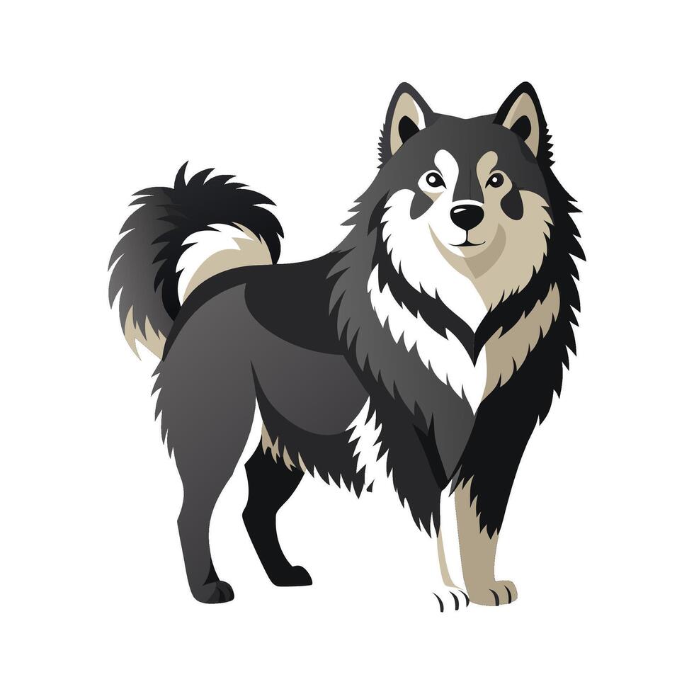 Charming Finnish Lapphund in Snow vector