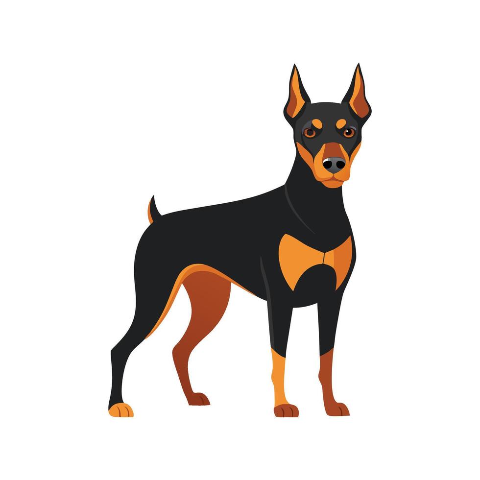 Majestic German Pinscher with Distinct Features vector