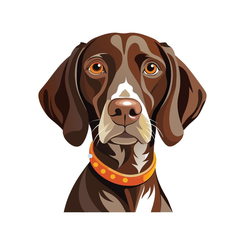 Majestic German Shorthaired Pointer on the Hunt vector