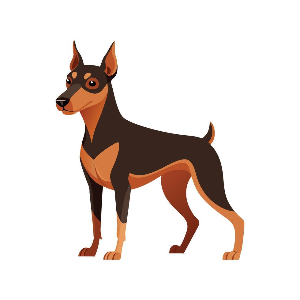 Charming German Pinscher in Motion vector