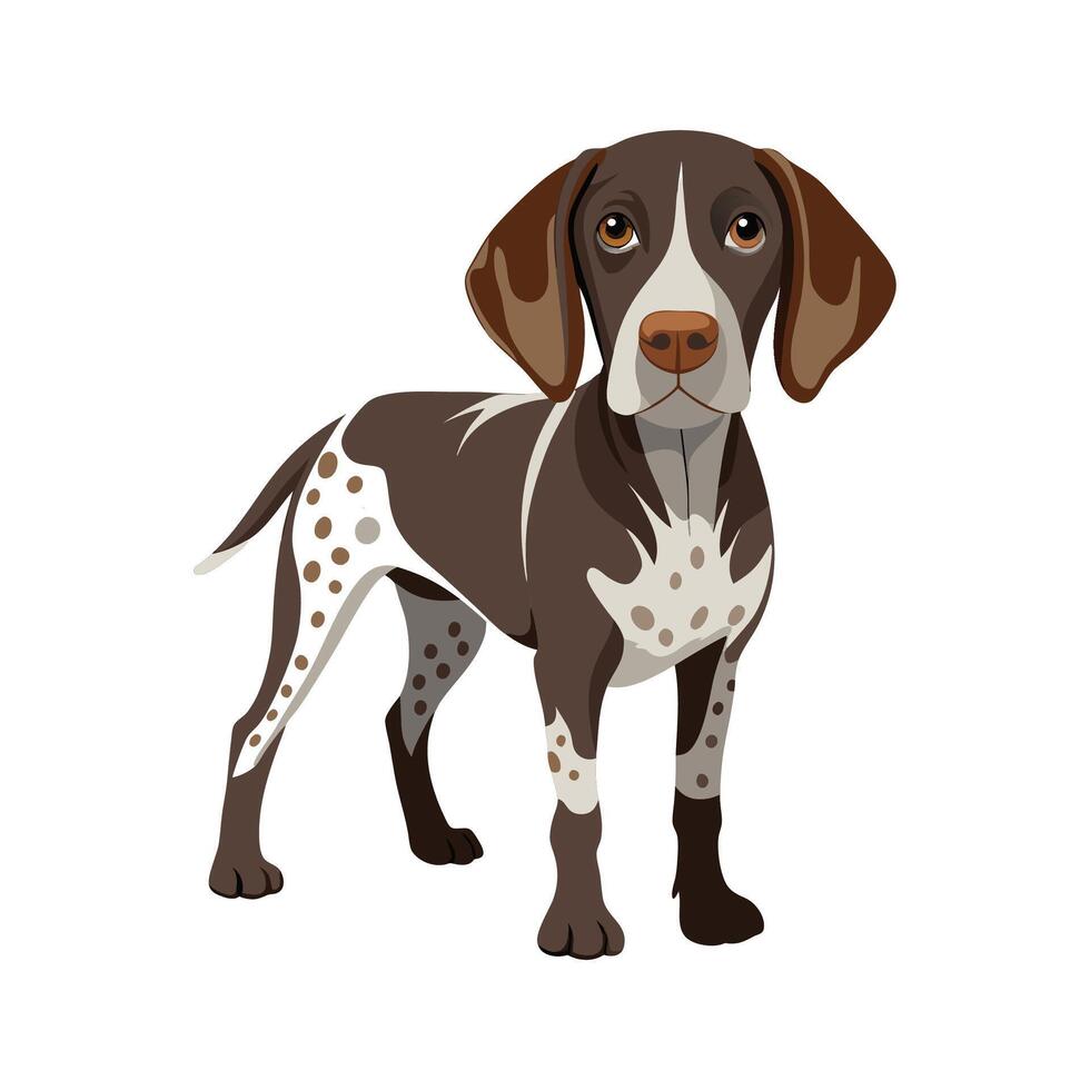 Energetic German Shorthaired Pointer Outdoors vector