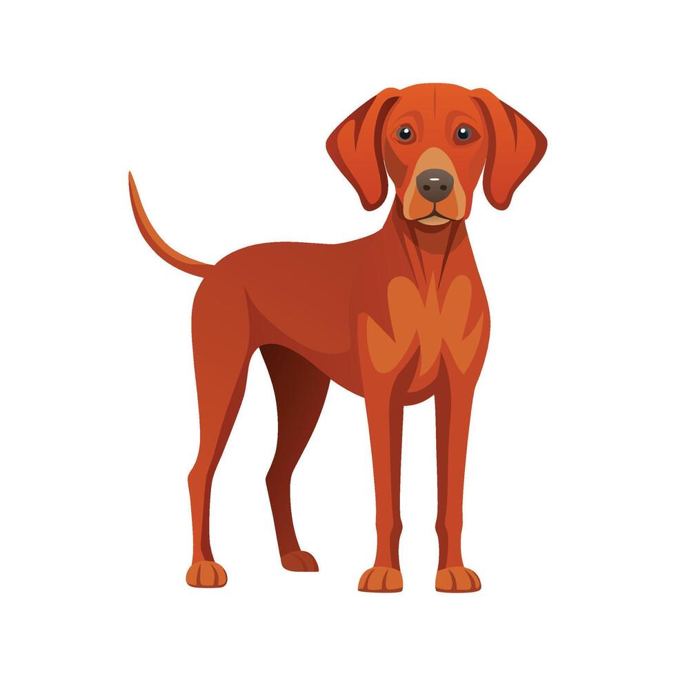 Majestic Hungarian Vizsla in Natural Surroundings vector