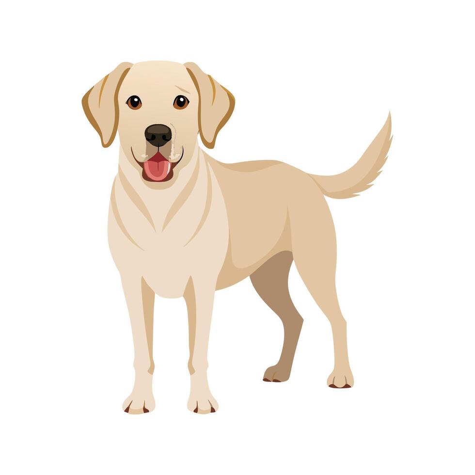 Unique Labrador Retriever Illustration for Art vector