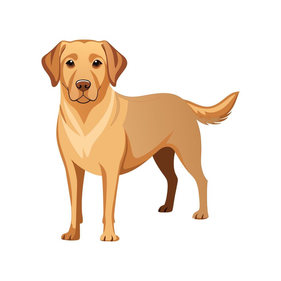 Labrador Retriever Art for Creative Use vector