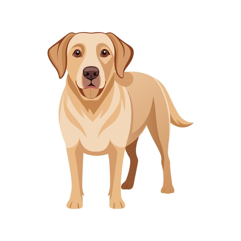 Playful Labrador Retriever for Pet Lovers vector
