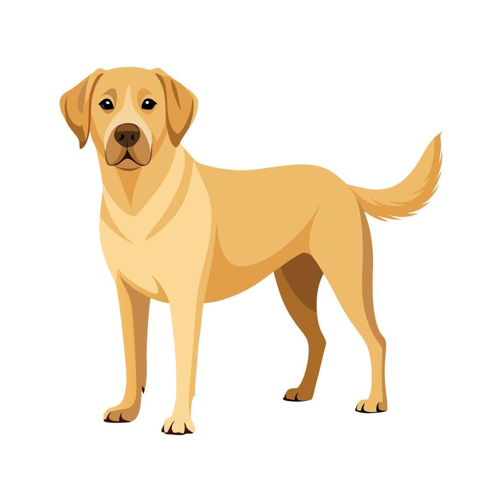 Cheerful Labrador Retriever Illustration for Art vector