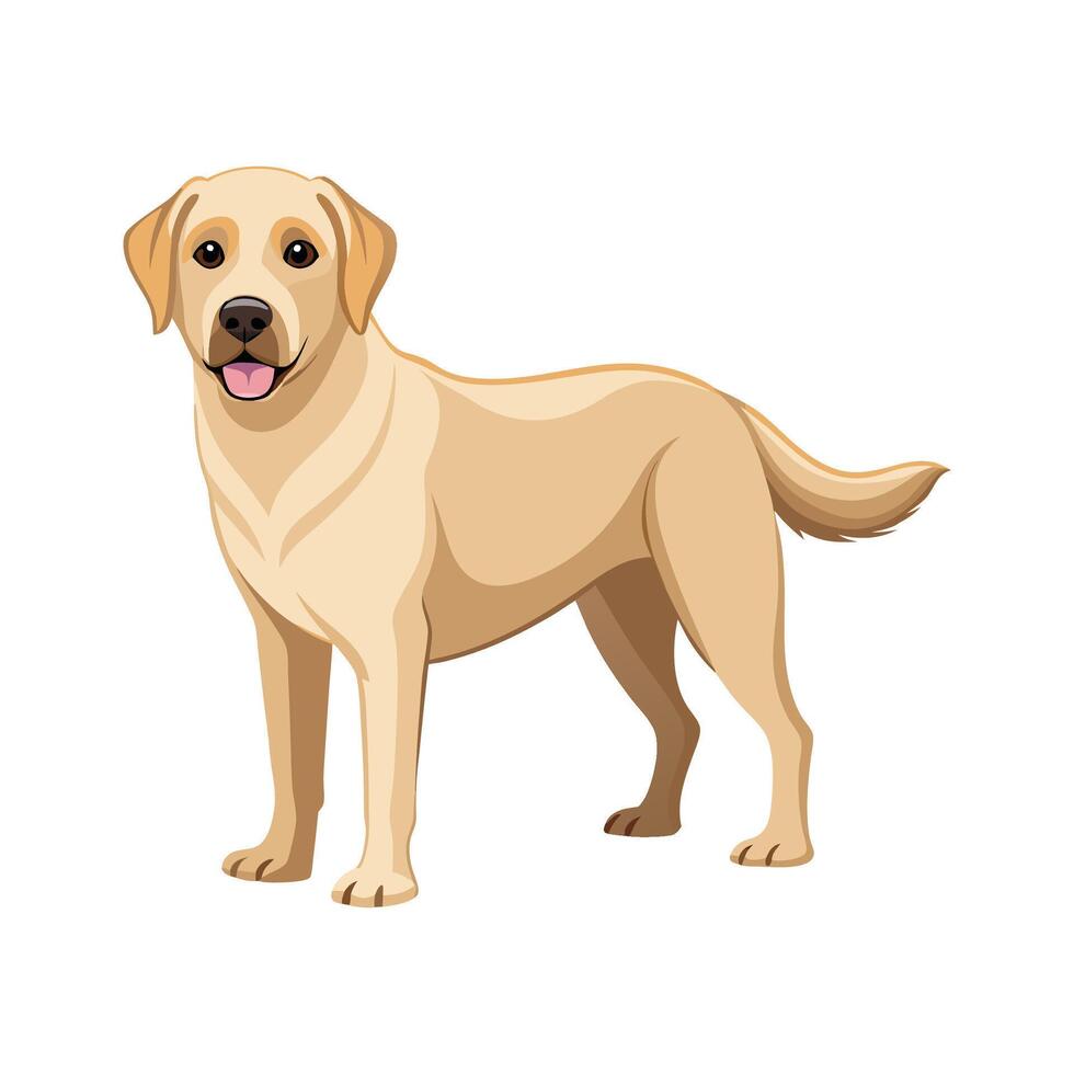 Charming Labrador Retriever Art for Designers vector