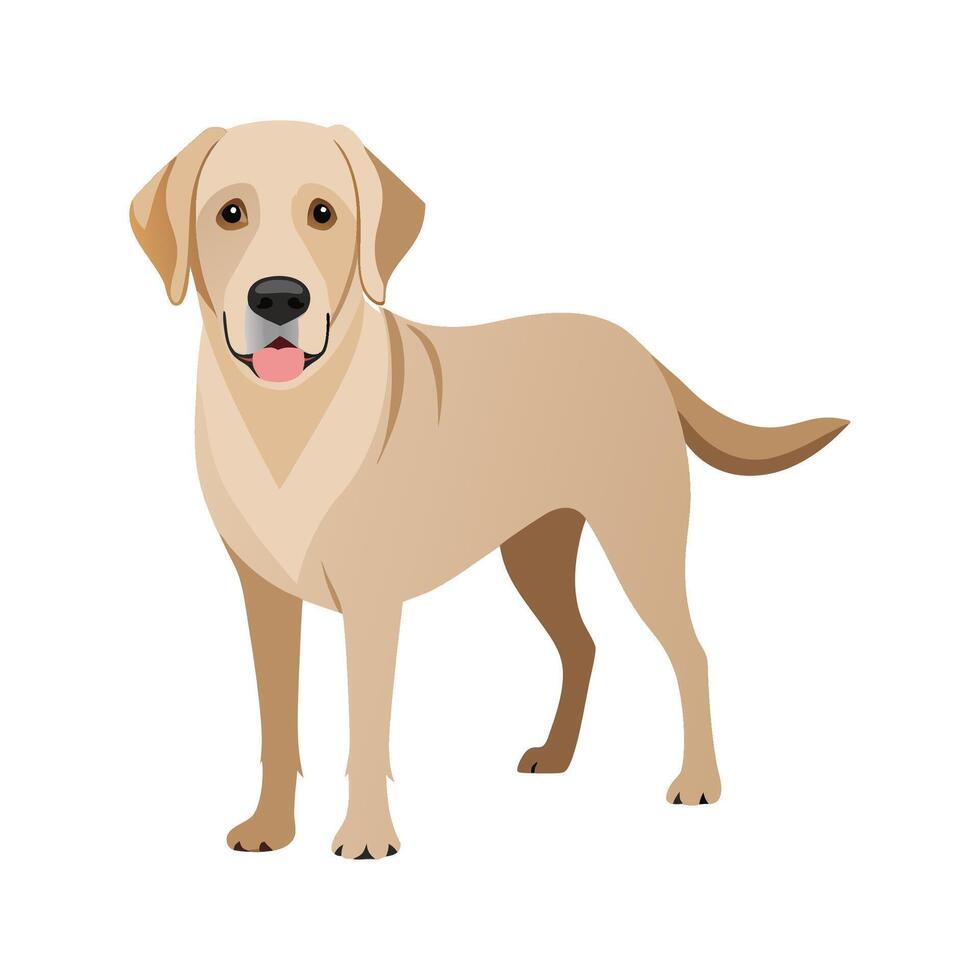 Adorable Labrador Retriever Illustration for Creatives vector