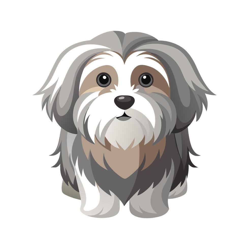 Lively Lhasa Apso Illustration for Dog Lovers vector