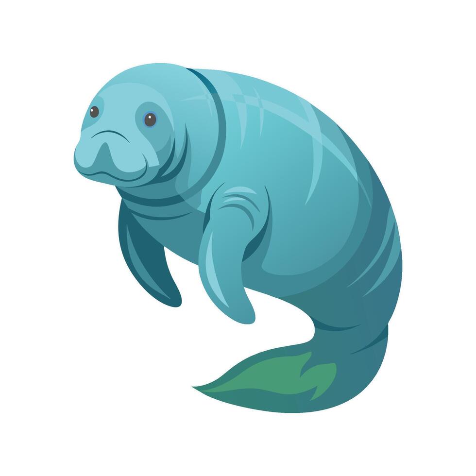 Charming Manatee Illustration for Marine Art vector