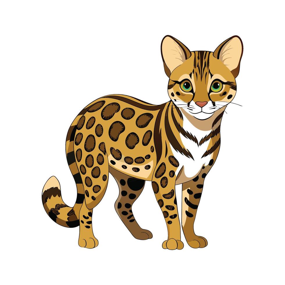 Stylized Margay Art for Unique Wildlife vector