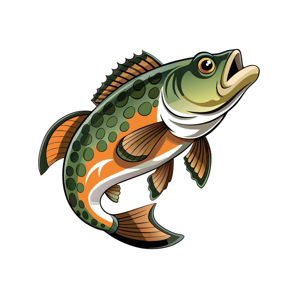 Creative Murray Cod for Artistic Projects vector