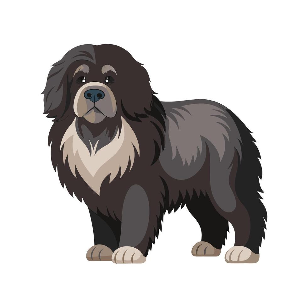 Engaging Newfoundland Dog Illustration for Pet Lovers vector