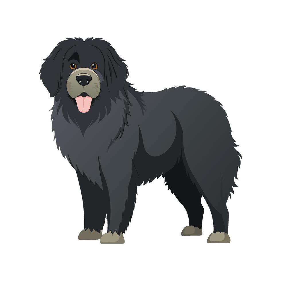Creative Newfoundland Dog for Artistic Use vector