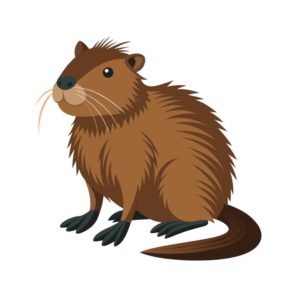 Unique Nutria Illustration for Wildlife Projects vector