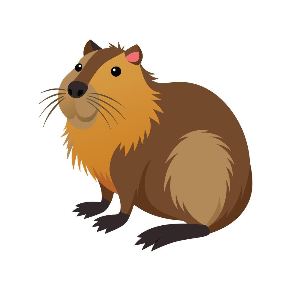 Nutria Illustration for Unique Wildlife Art vector