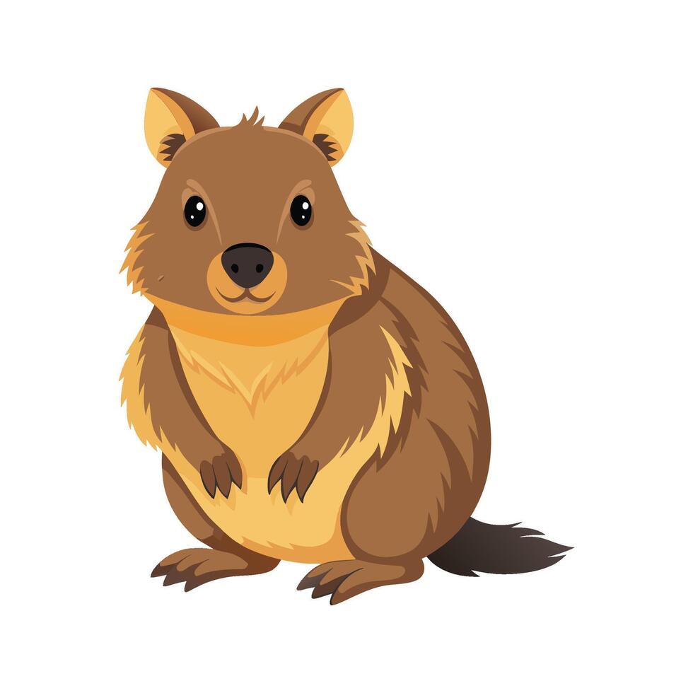Stylized Quokka Art for Unique Wildlife vector
