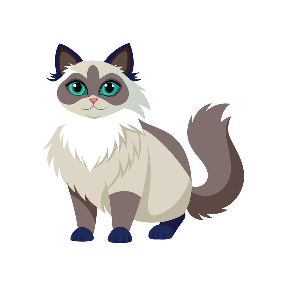 Engaging Ragdoll Cat Illustration for Creative Projects vector