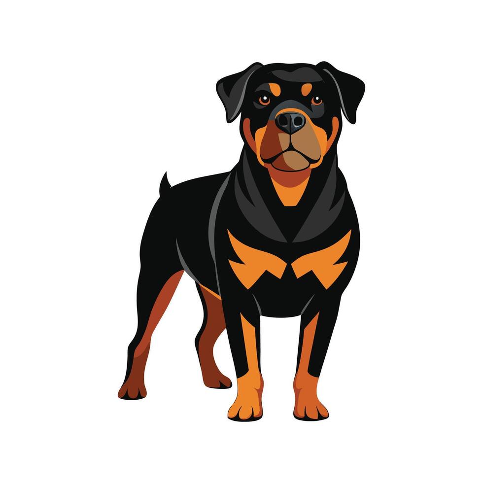 Unique Rottweiler for Dog Artists vector